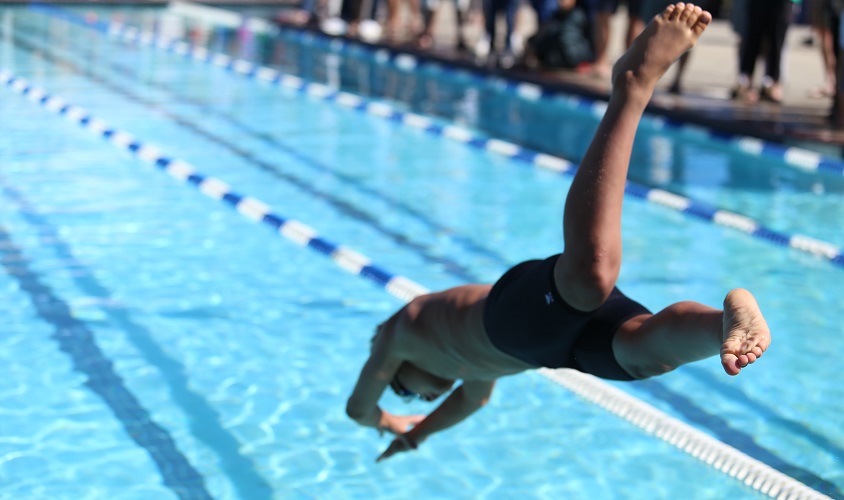 Birdbrook Rosettes Ltd