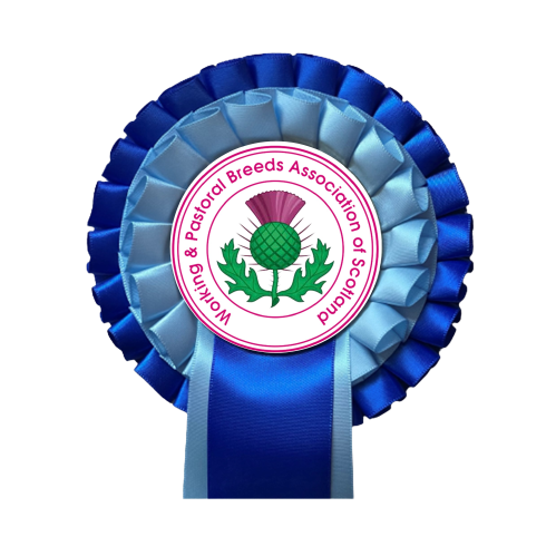 Birdbrook Rosettes Ltd